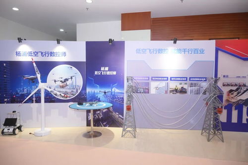 上海市东西部协作劳务品牌展示交流大会 会议及展览服务的创新实践